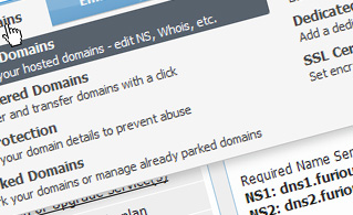 {{domain_manager_paragraph_2_title}} {{domain_manager_paragraph_2_title}}