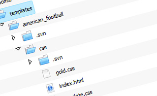 {{file_manager_paragraph_2_title}} {{file_manager_paragraph_2_title}}